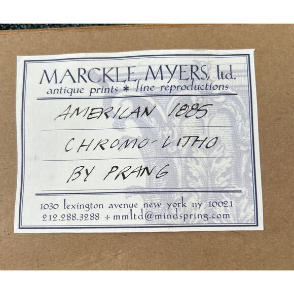 c1886 Original Cobra Antelope Chromolithograph Print - Picture 5 of 6